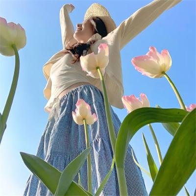 米兰达第二季